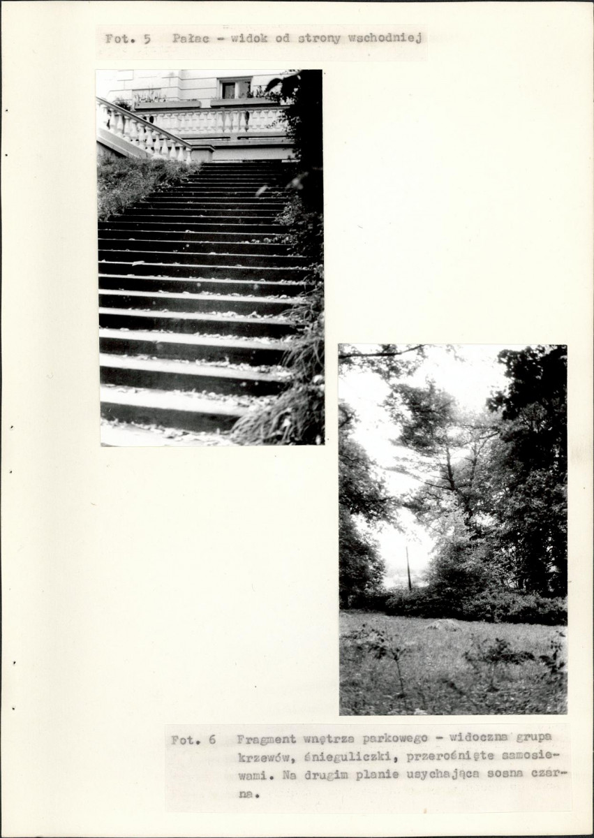 Ewidencja parkowa, skan nr 17
