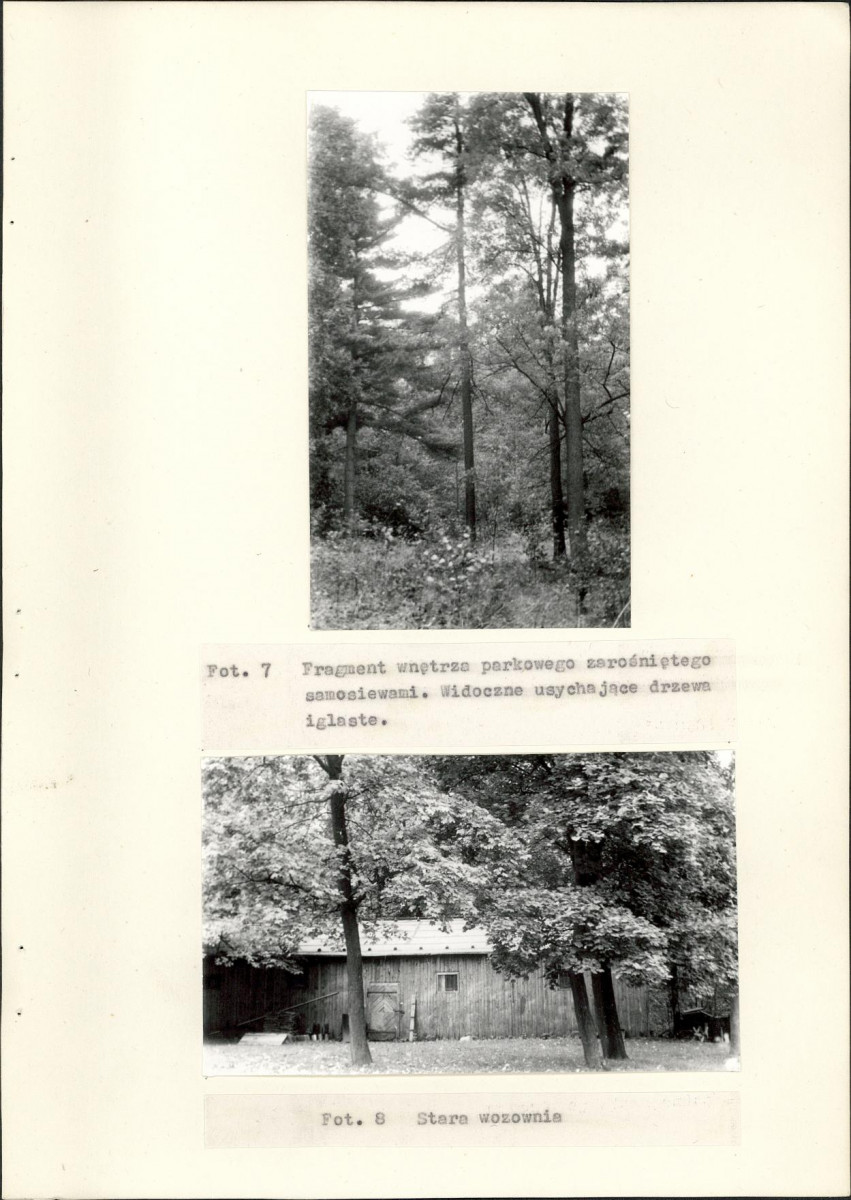 Ewidencja parkowa, skan nr 18