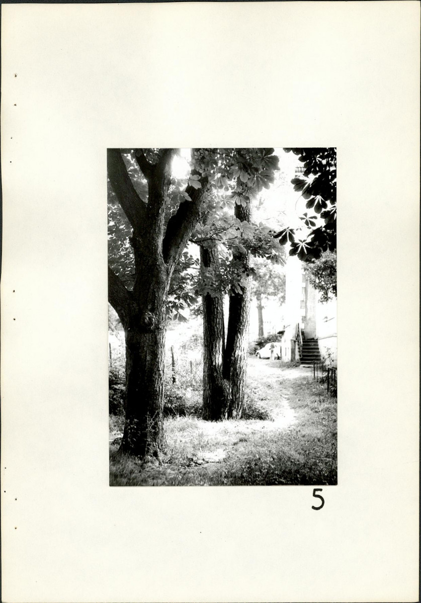 EP - Ewidencja parkowa, skan nr 25