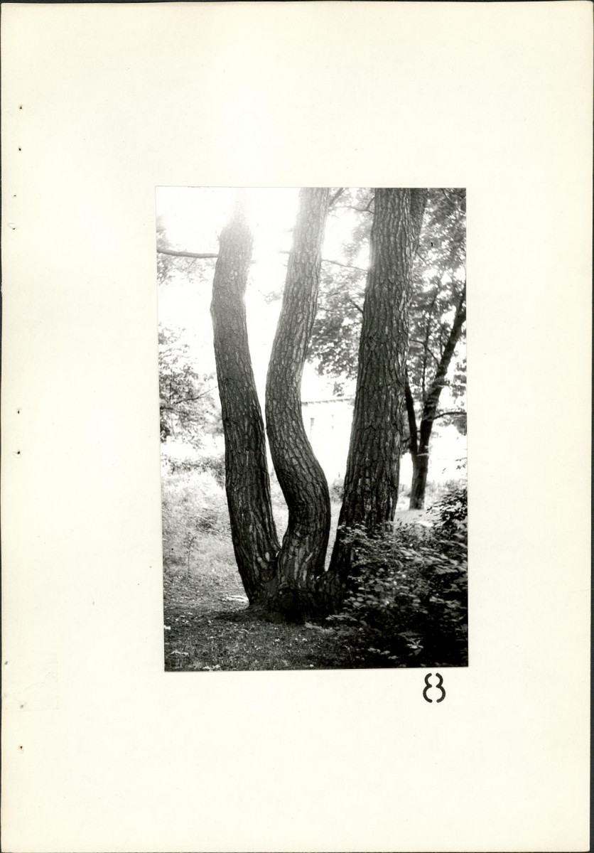 EP - Ewidencja parkowa, skan nr 28