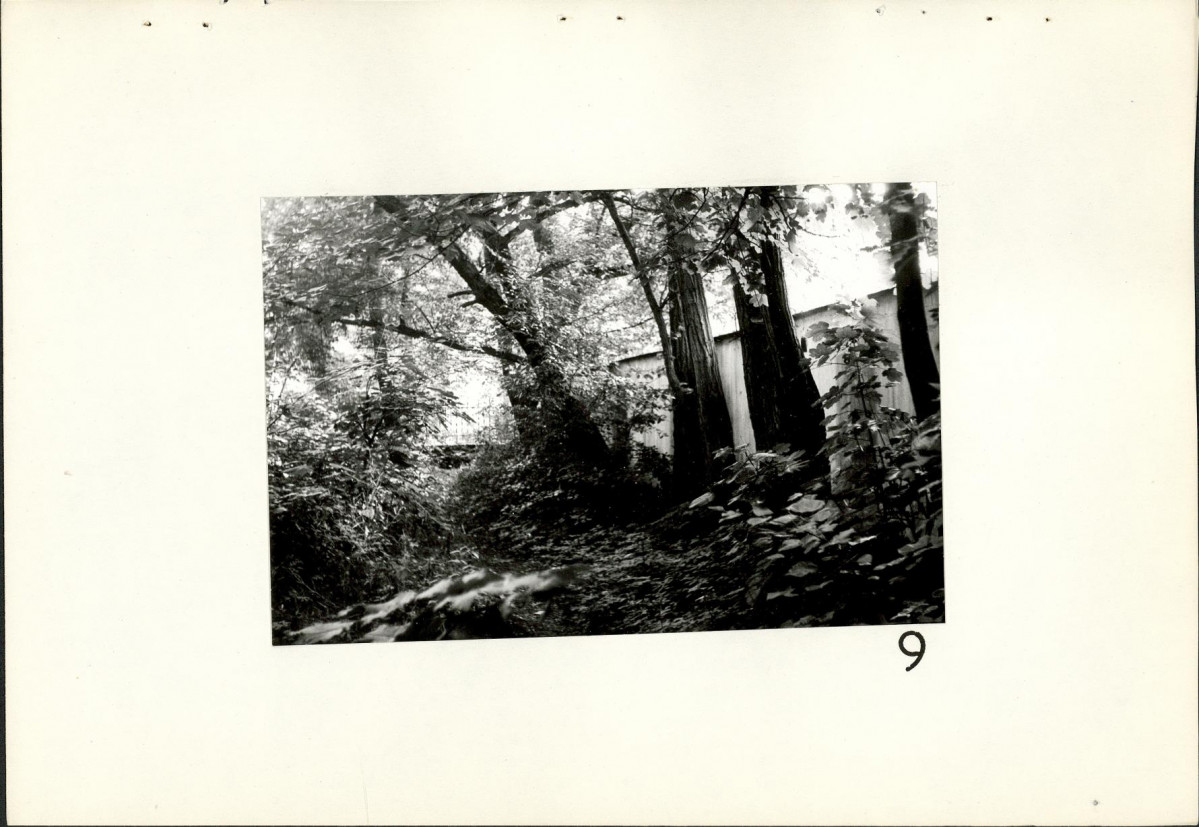 EP - Ewidencja parkowa, skan nr 29