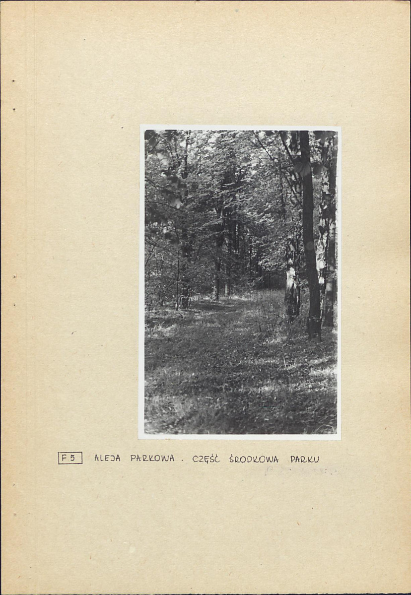 EP - Ewidencja parkowa, skan nr 25