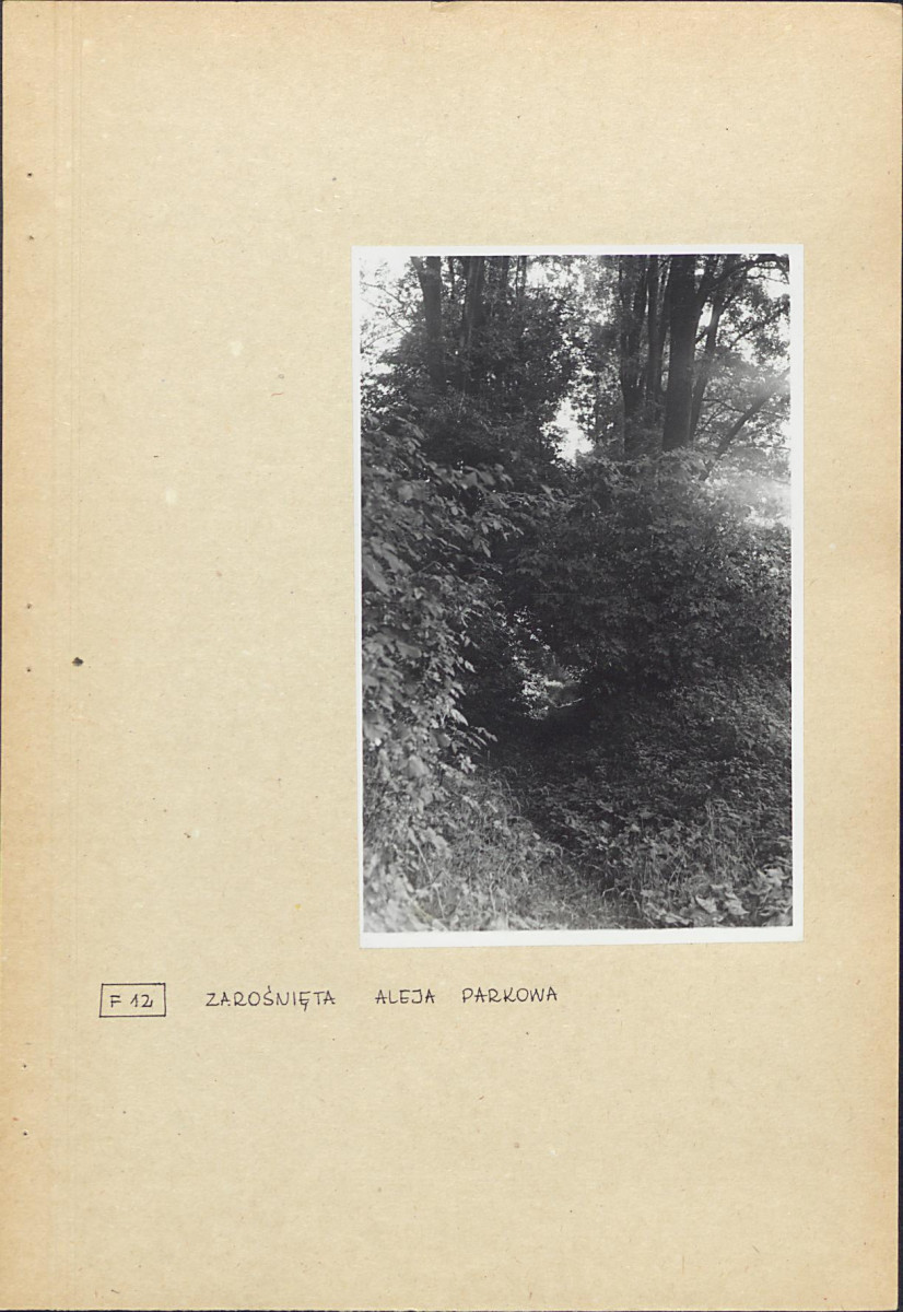 EP - Ewidencja parkowa, skan nr 31