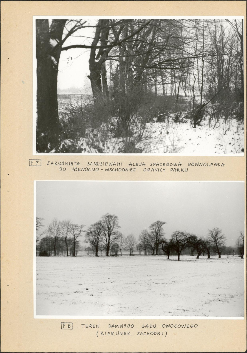 EP - Ewidencja parkowa, skan nr 21