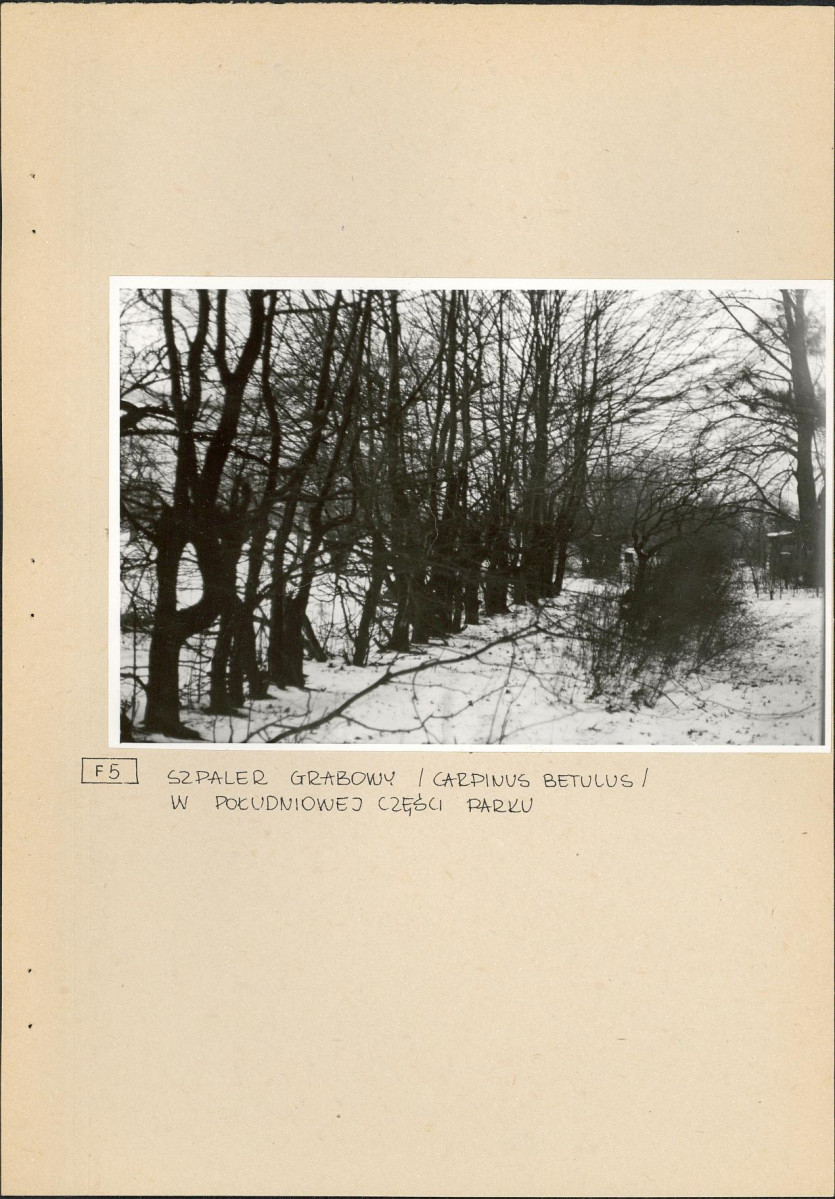 Ewidencja parkowa, skan nr 17