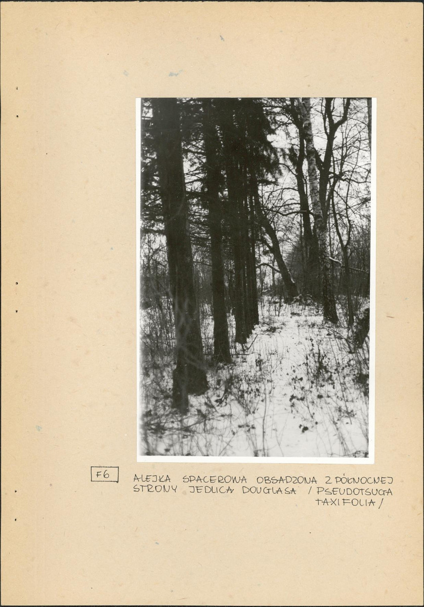 Ewidencja parkowa, skan nr 18