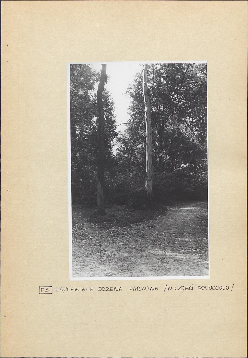 Ewidencja parkowa, skan nr 20