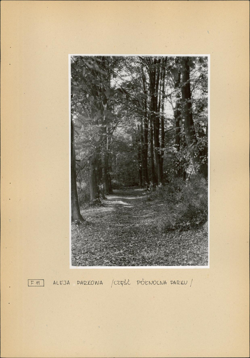 EP - Ewidencja parkowa, skan nr 29