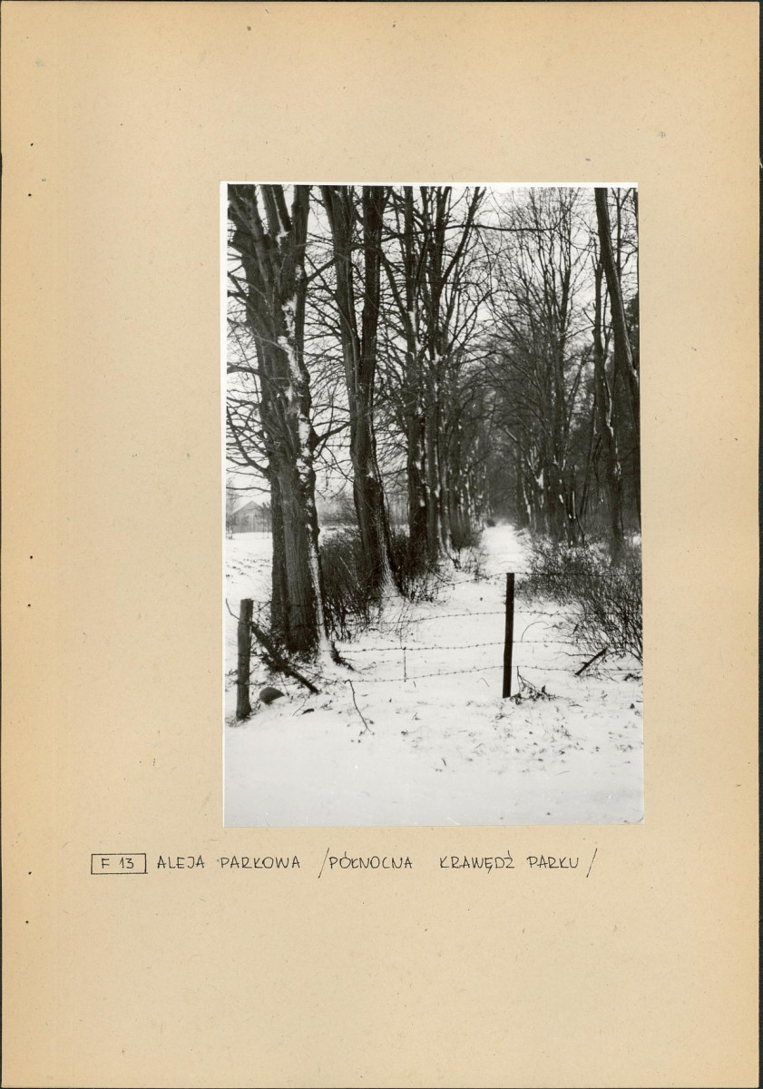 EP - Ewidencja parkowa, skan nr 31