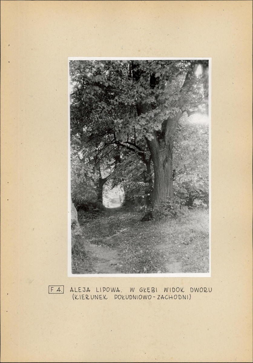 EP - Ewidencja parkowa, skan nr 19