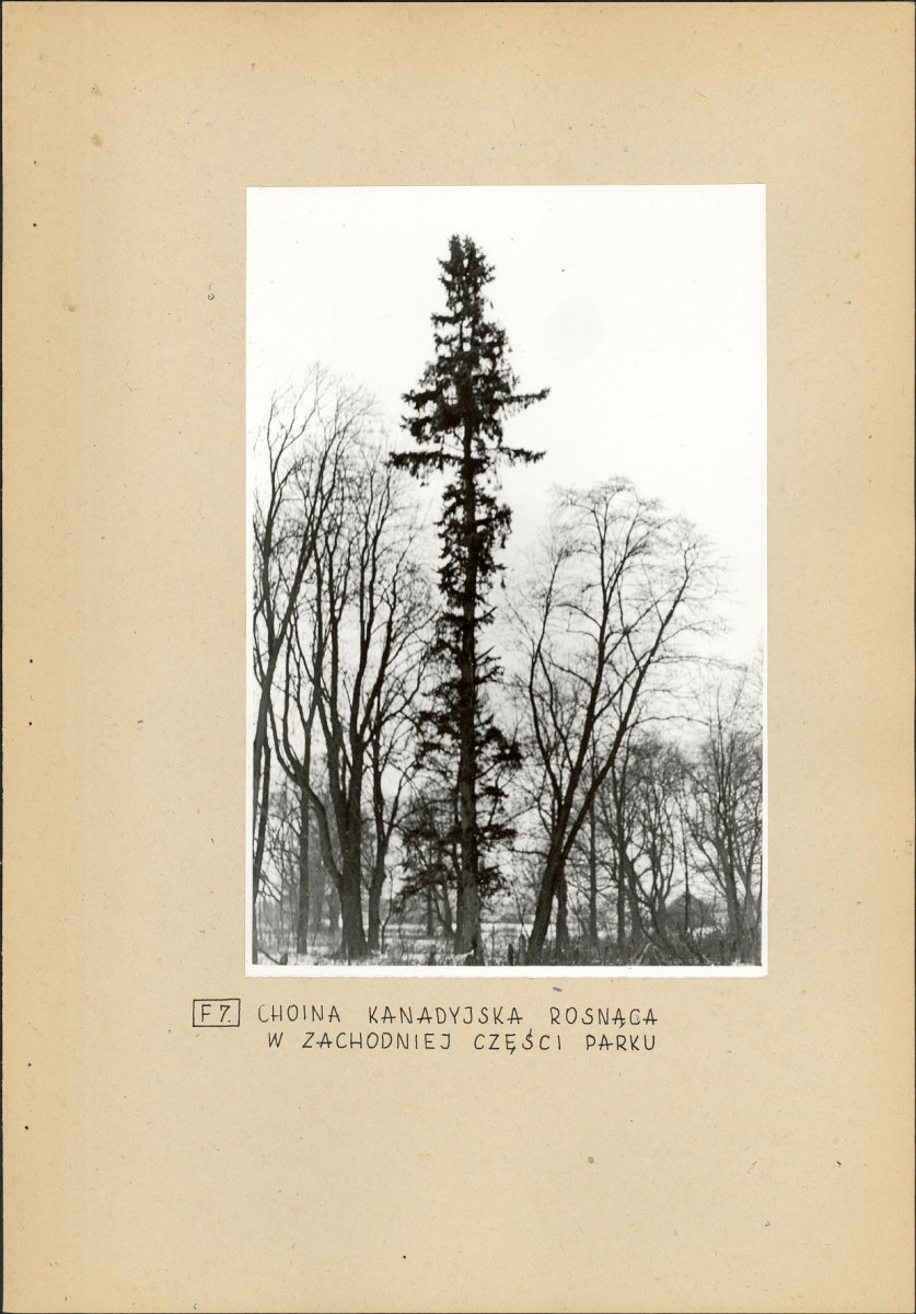 EP - Ewidencja parkowa, skan nr 22