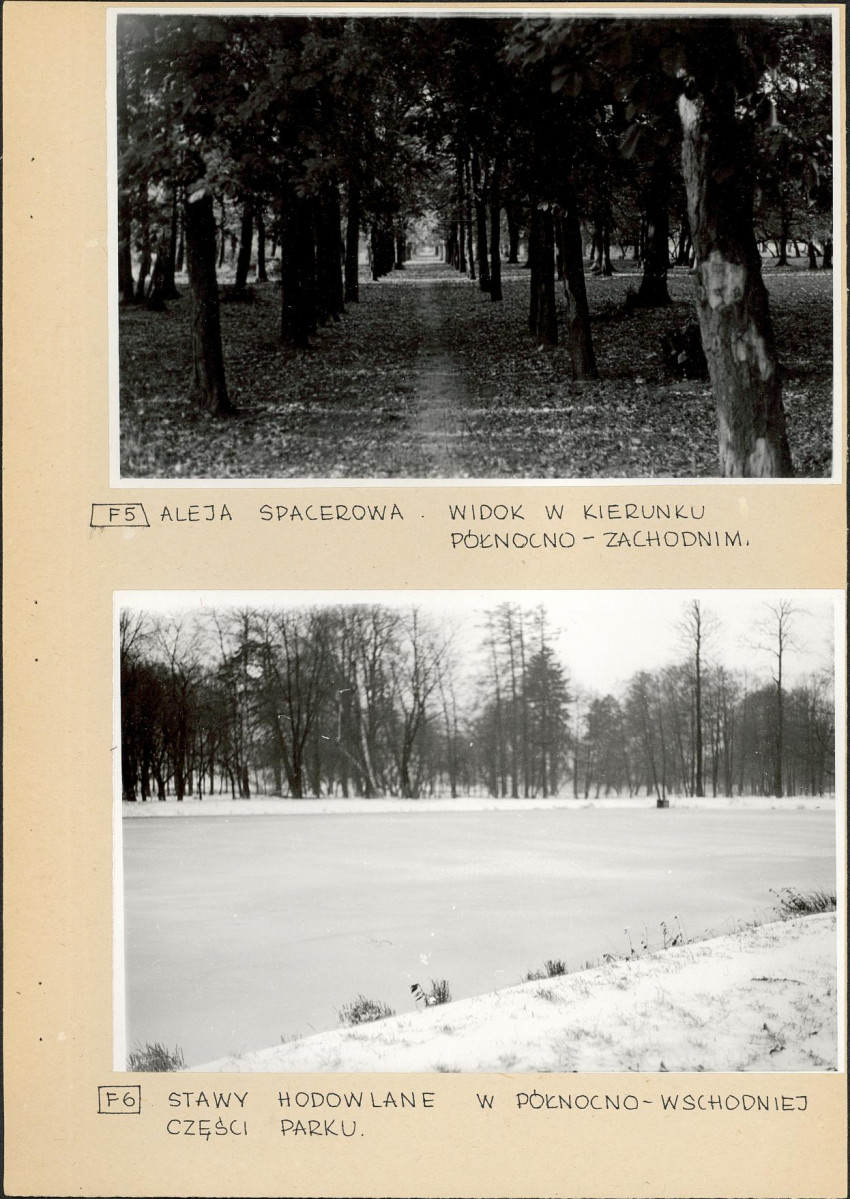 EP - Ewidencja parkowa, skan nr 20