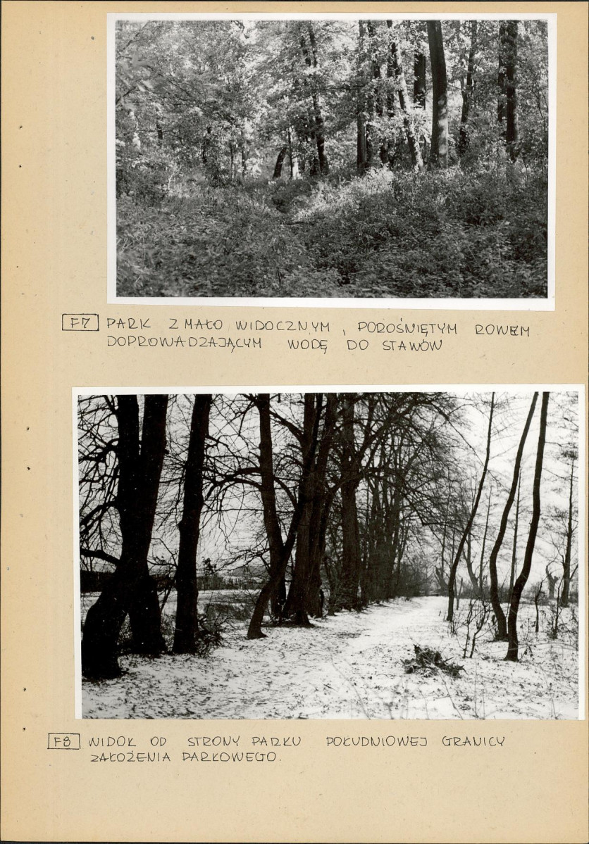 Ewidencja parkowa, skan nr 21