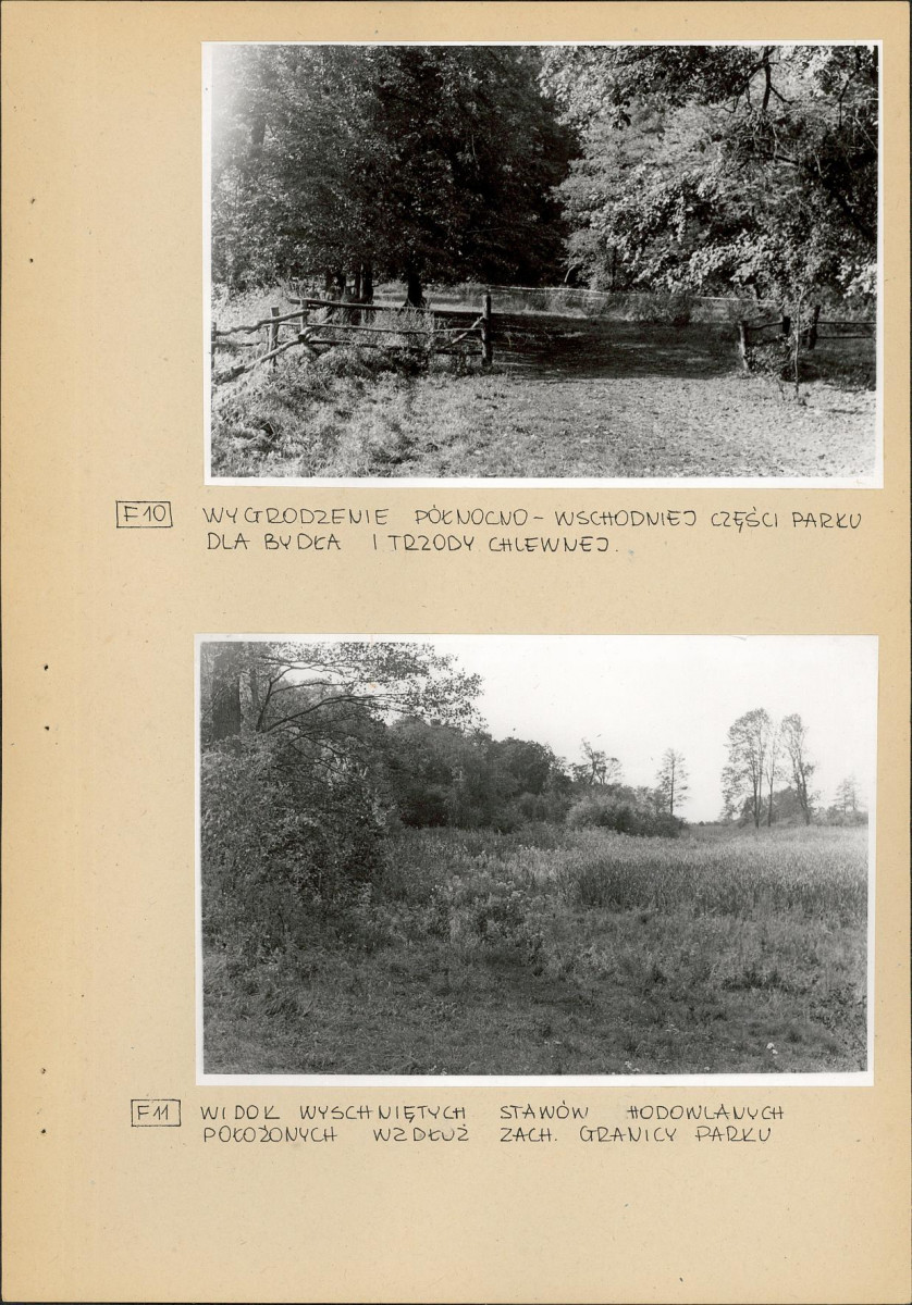 Ewidencja parkowa, skan nr 23