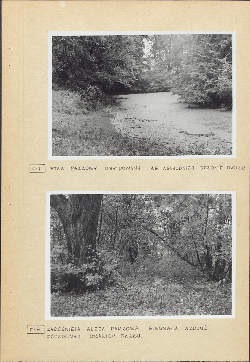 Ewidencja parkowa, skan nr 21