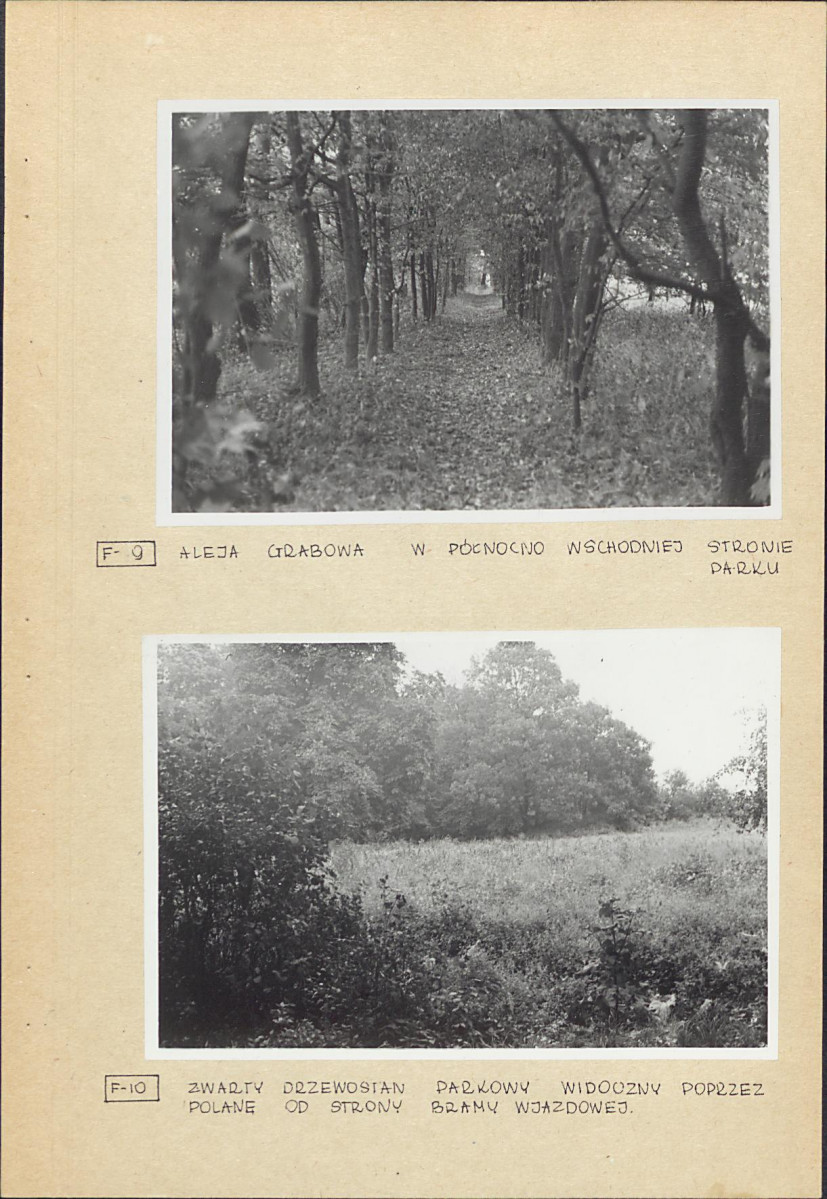 Ewidencja parkowa, skan nr 22