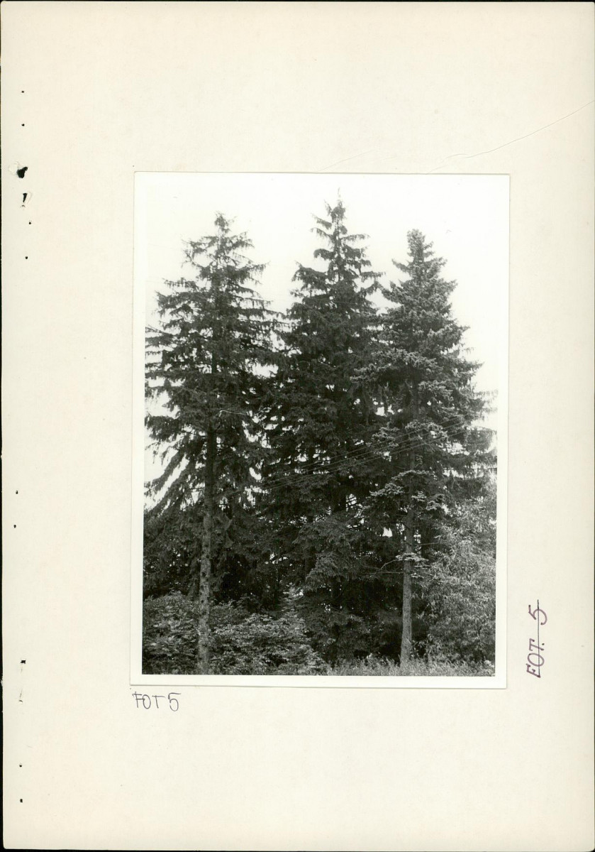 Ewidencja parkowa, skan nr 25