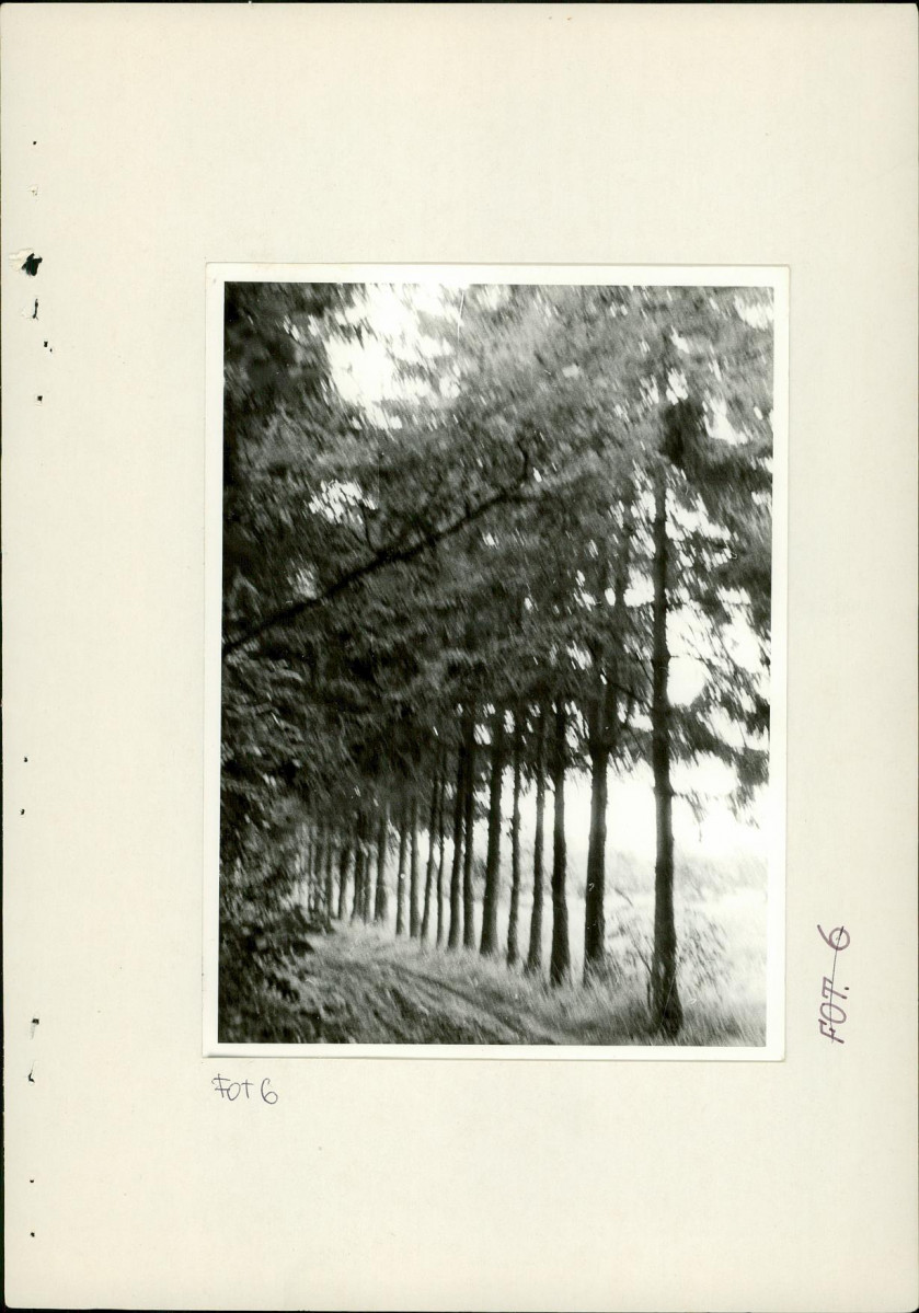 Ewidencja parkowa, skan nr 26