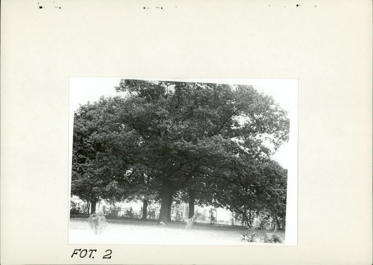 Ewidencja parkowa, skan nr 22