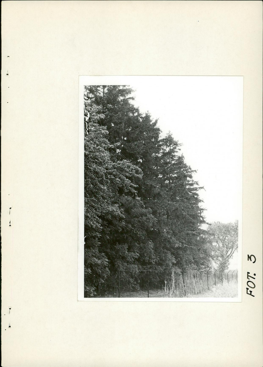 Ewidencja parkowa, skan nr 23
