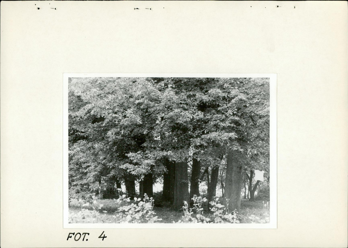 Ewidencja parkowa, skan nr 24