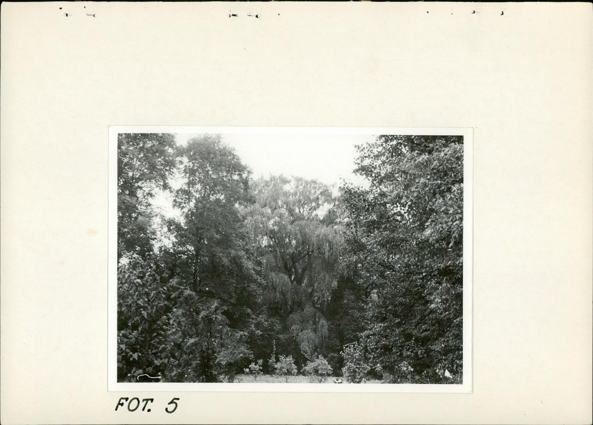 Ewidencja parkowa, skan nr 25