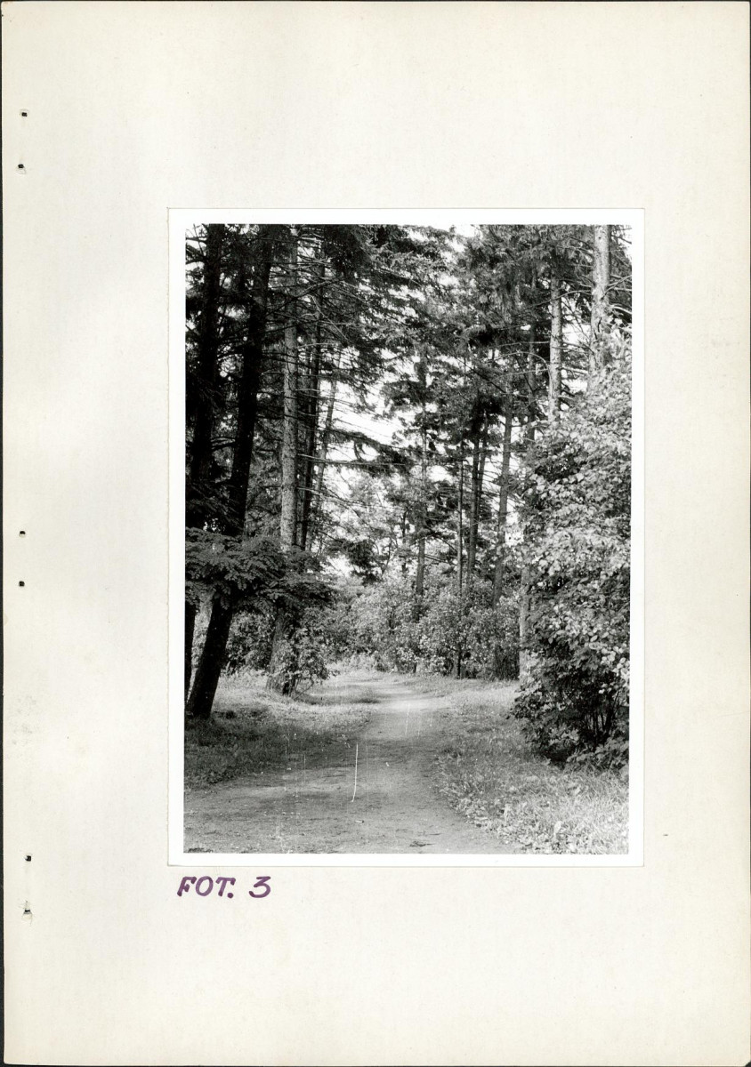 Ewidencja parkowa, skan nr 23