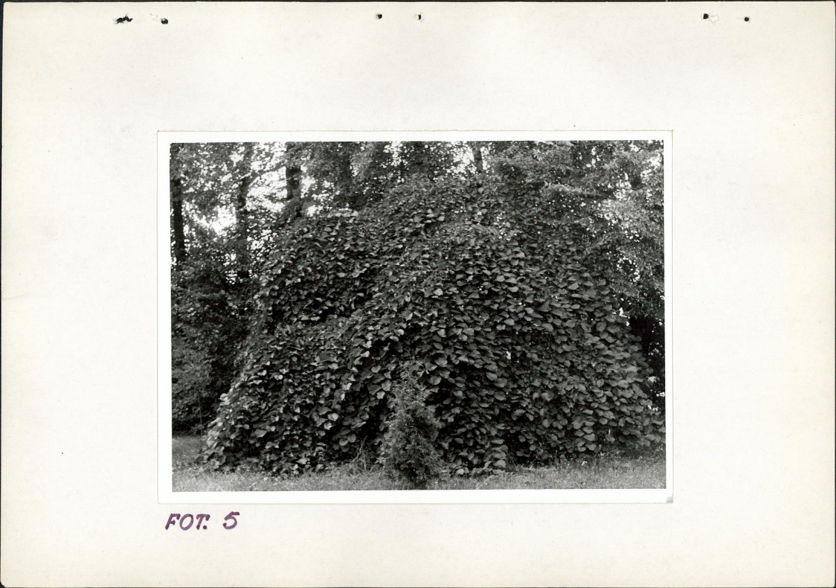 Ewidencja parkowa, skan nr 25
