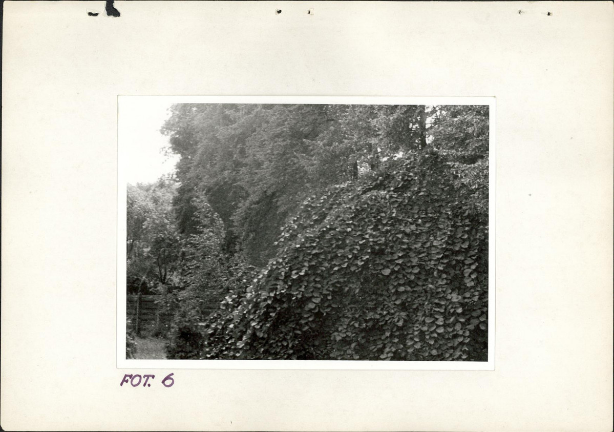 Ewidencja parkowa, skan nr 26