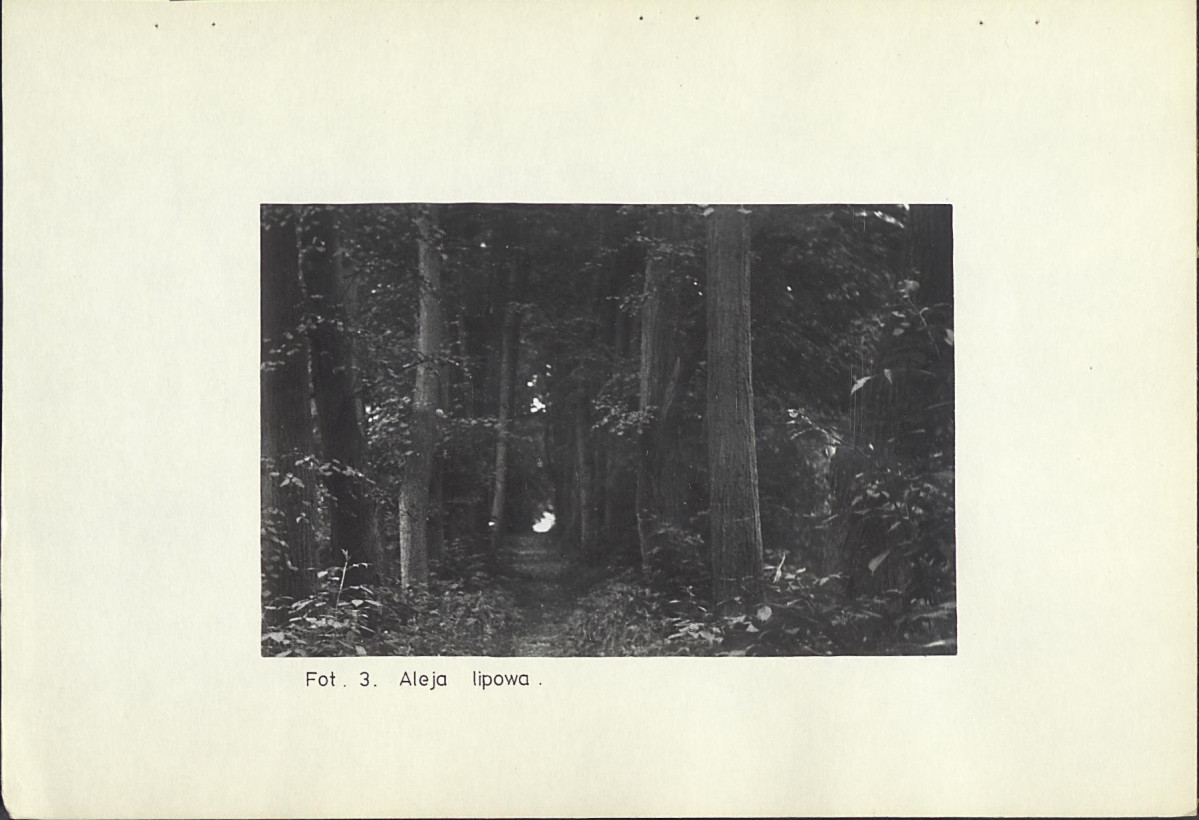 EP - Ewidencja parkowa, skan nr 18