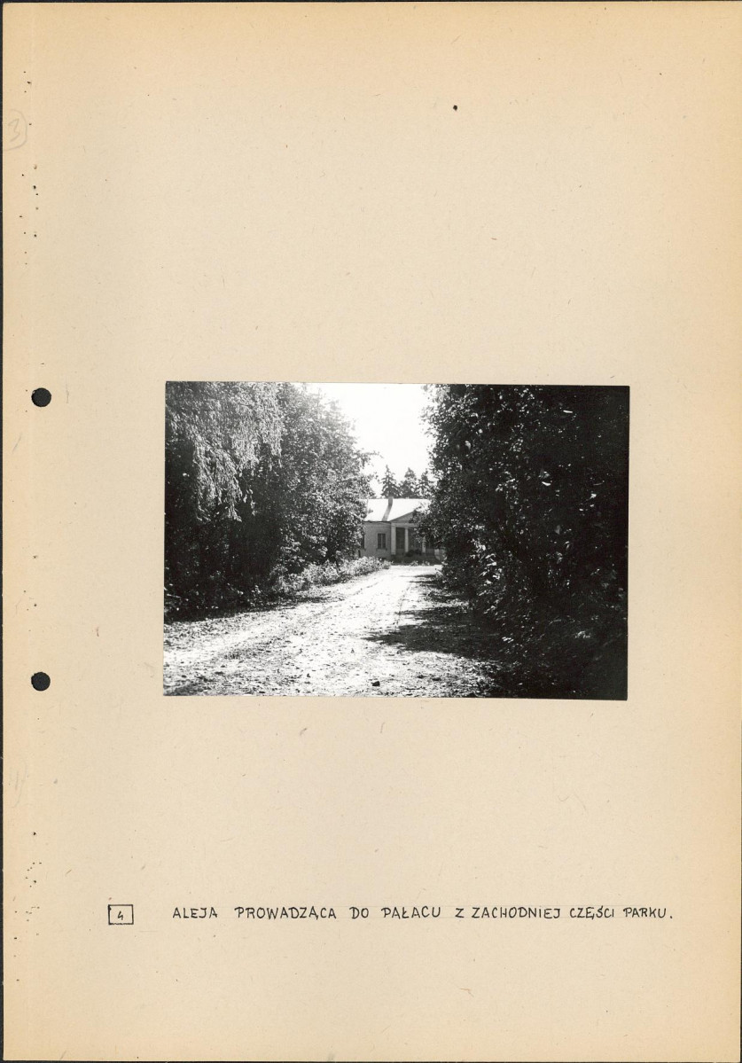 Ewidencja parkowa, skan nr 21