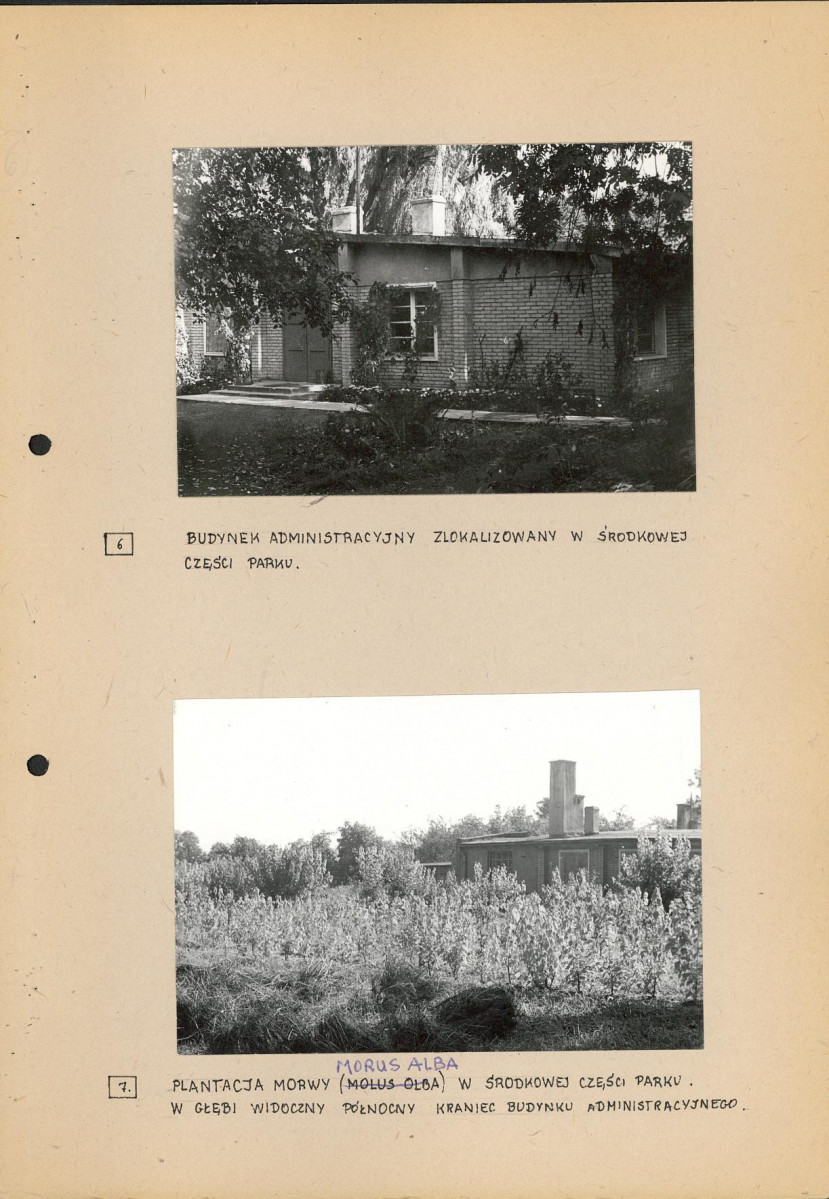 Ewidencja parkowa, skan nr 23