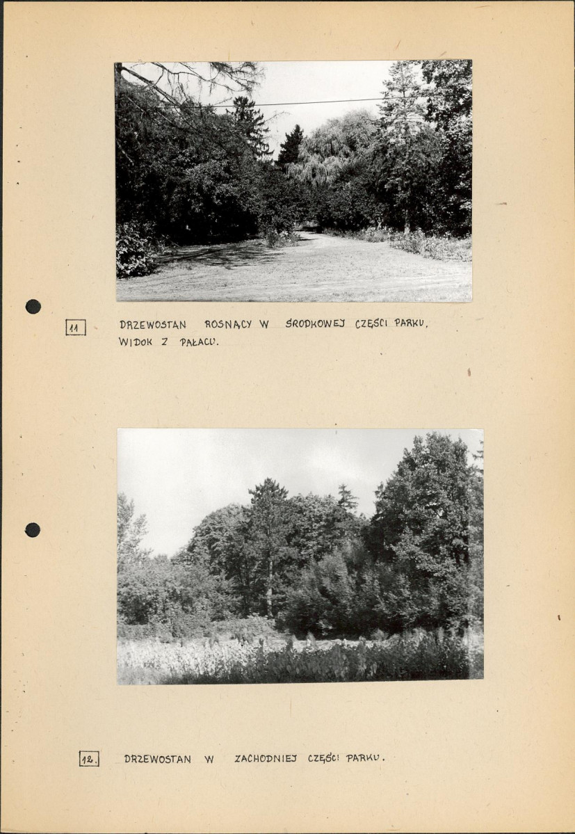 Ewidencja parkowa, skan nr 26