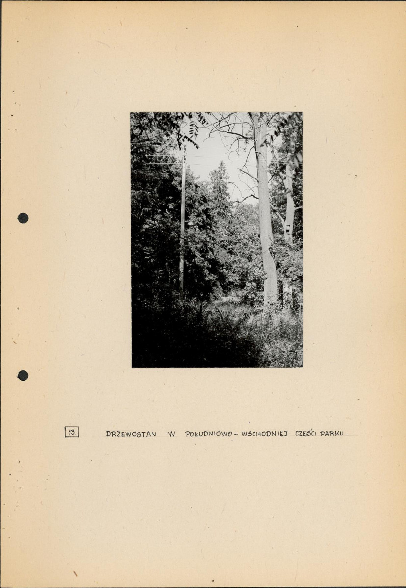 Ewidencja parkowa, skan nr 27