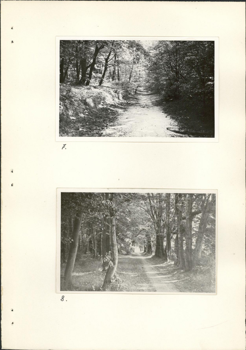 Ewidencja parkowa, skan nr 22