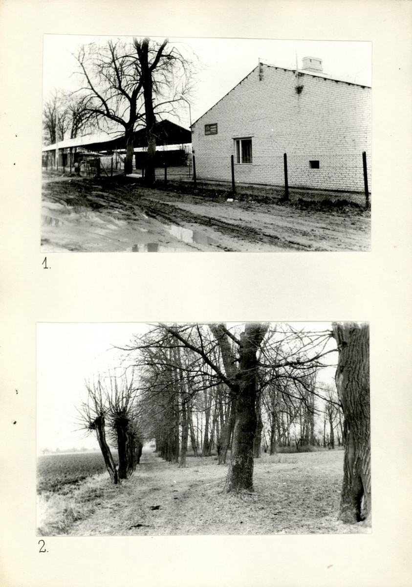 Ewidencja parkowa, skan nr 17
