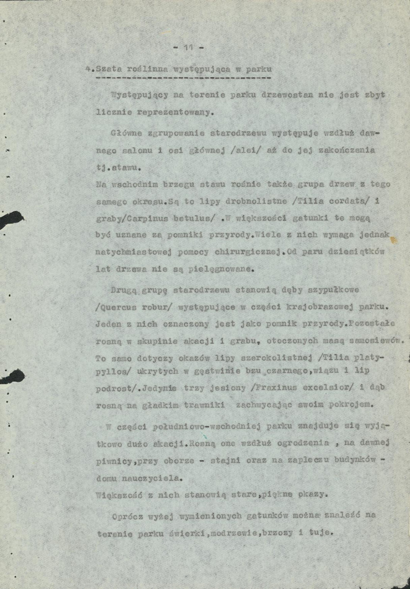 Ewidencja parkowa, skan nr 17