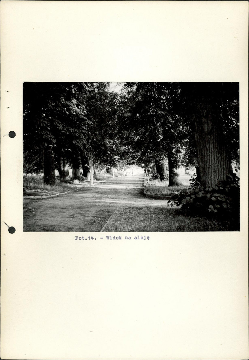 Ewidencja parkowa, skan nr 34