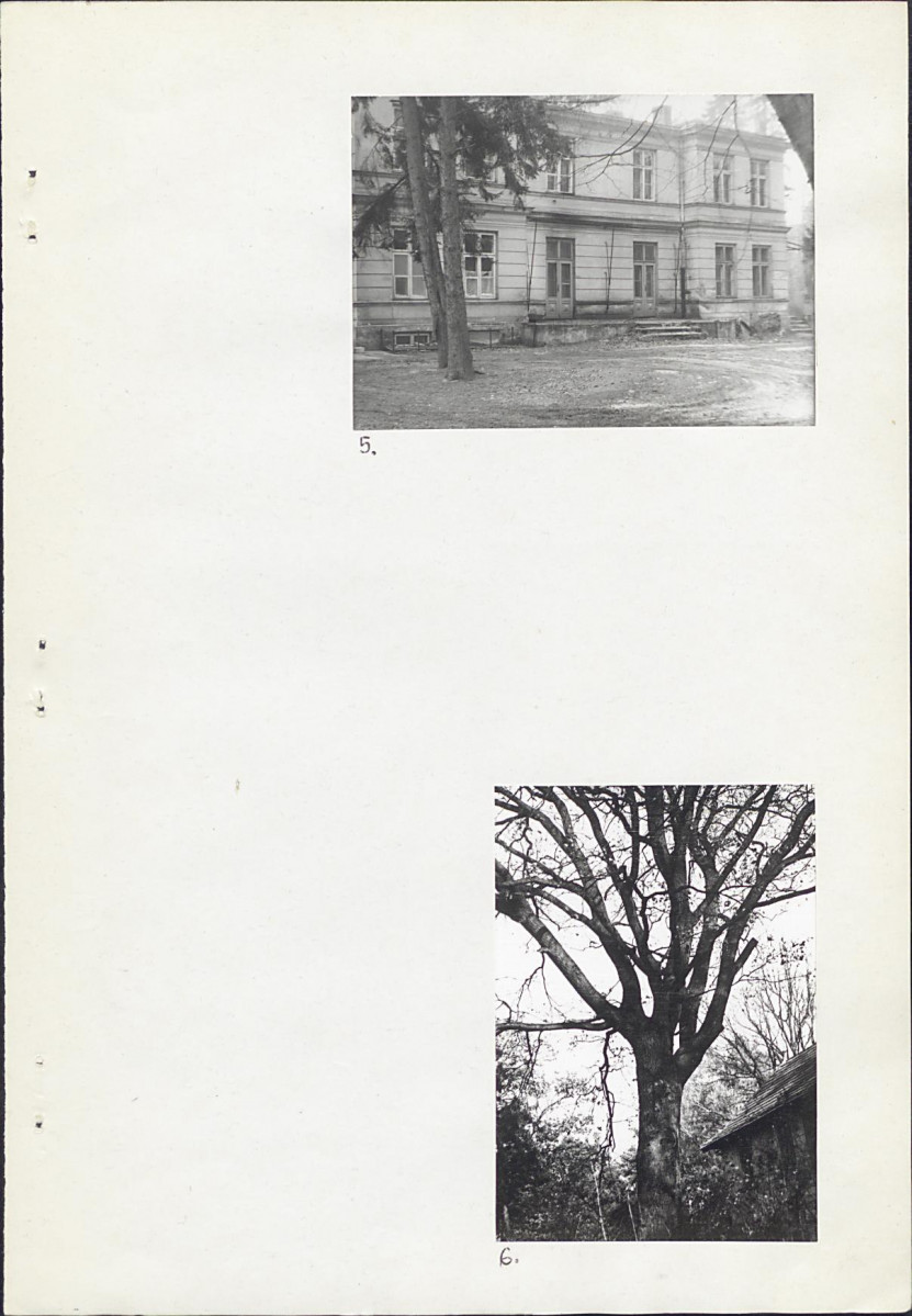 Ewidencja parkowa, skan nr 17