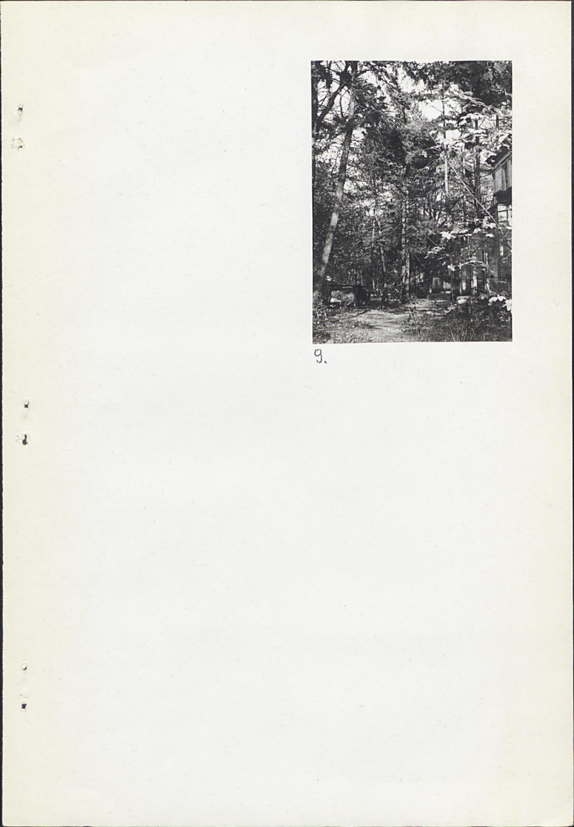 Ewidencja parkowa, skan nr 19