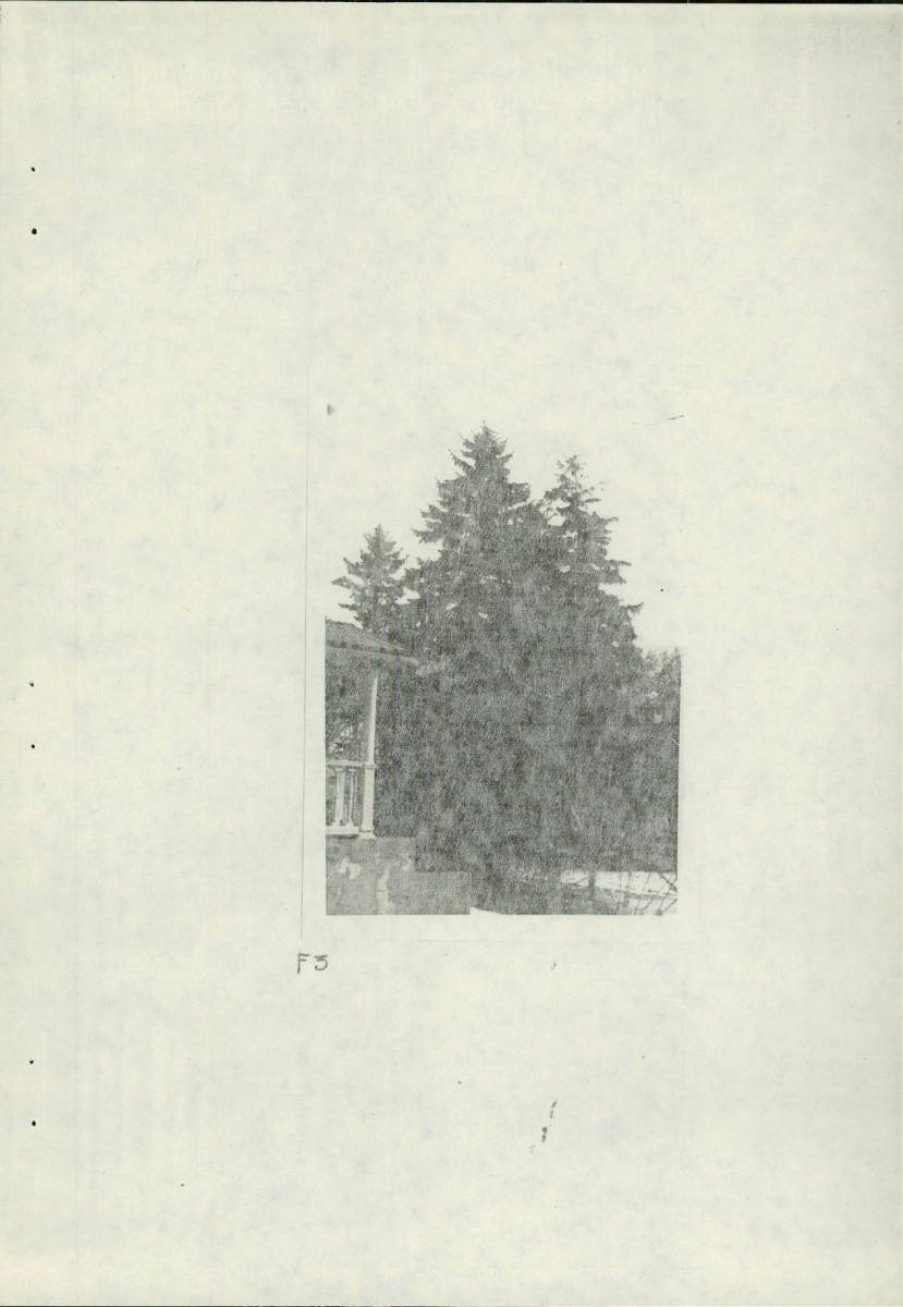 Ewidencja parkowa, skan nr 21
