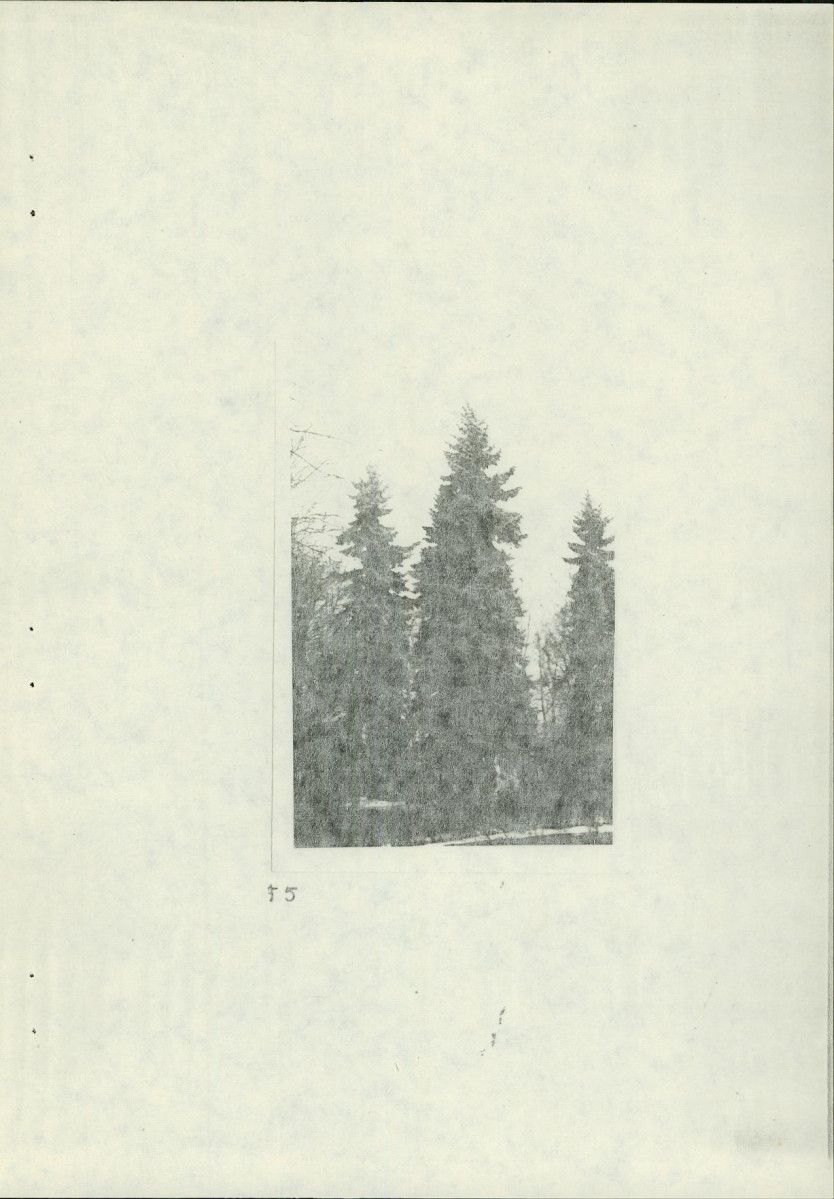 Ewidencja parkowa, skan nr 23