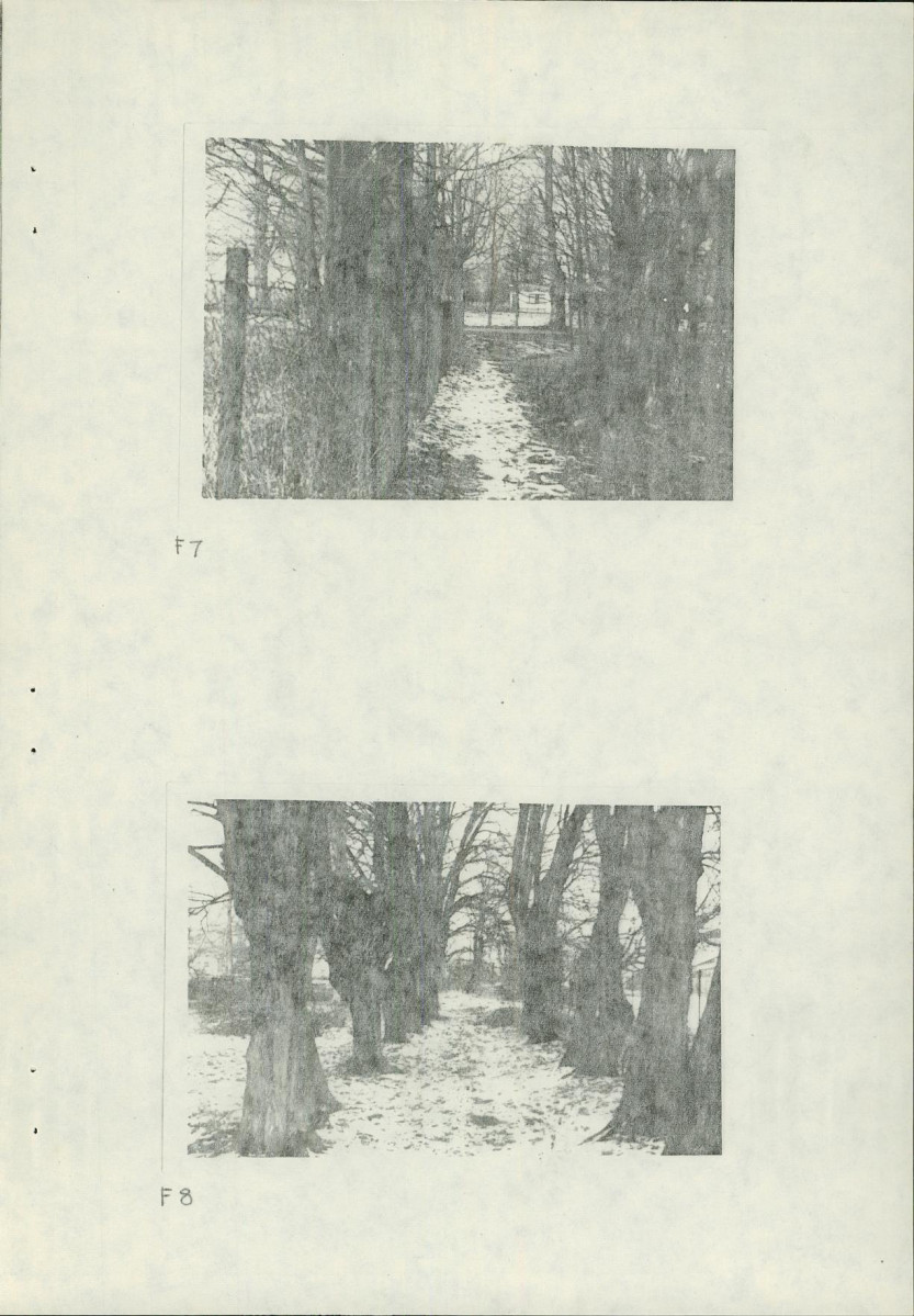 Ewidencja parkowa, skan nr 25