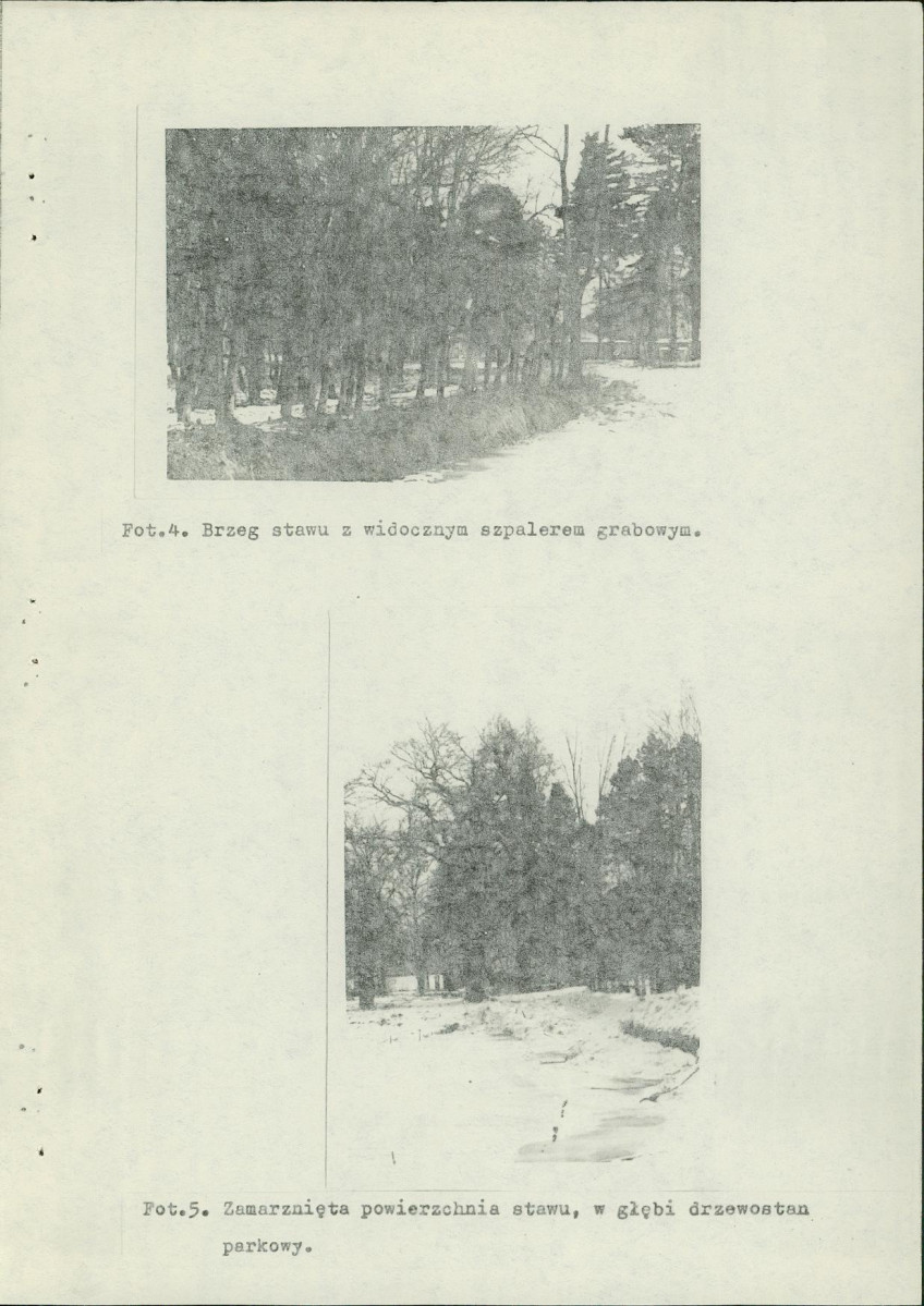 Ewidencja parkowa, skan nr 25