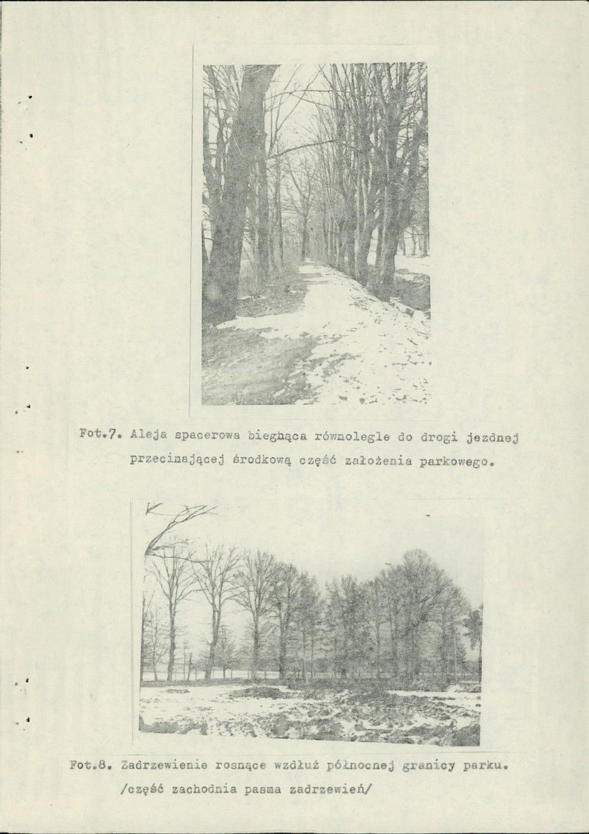 Ewidencja parkowa, skan nr 26