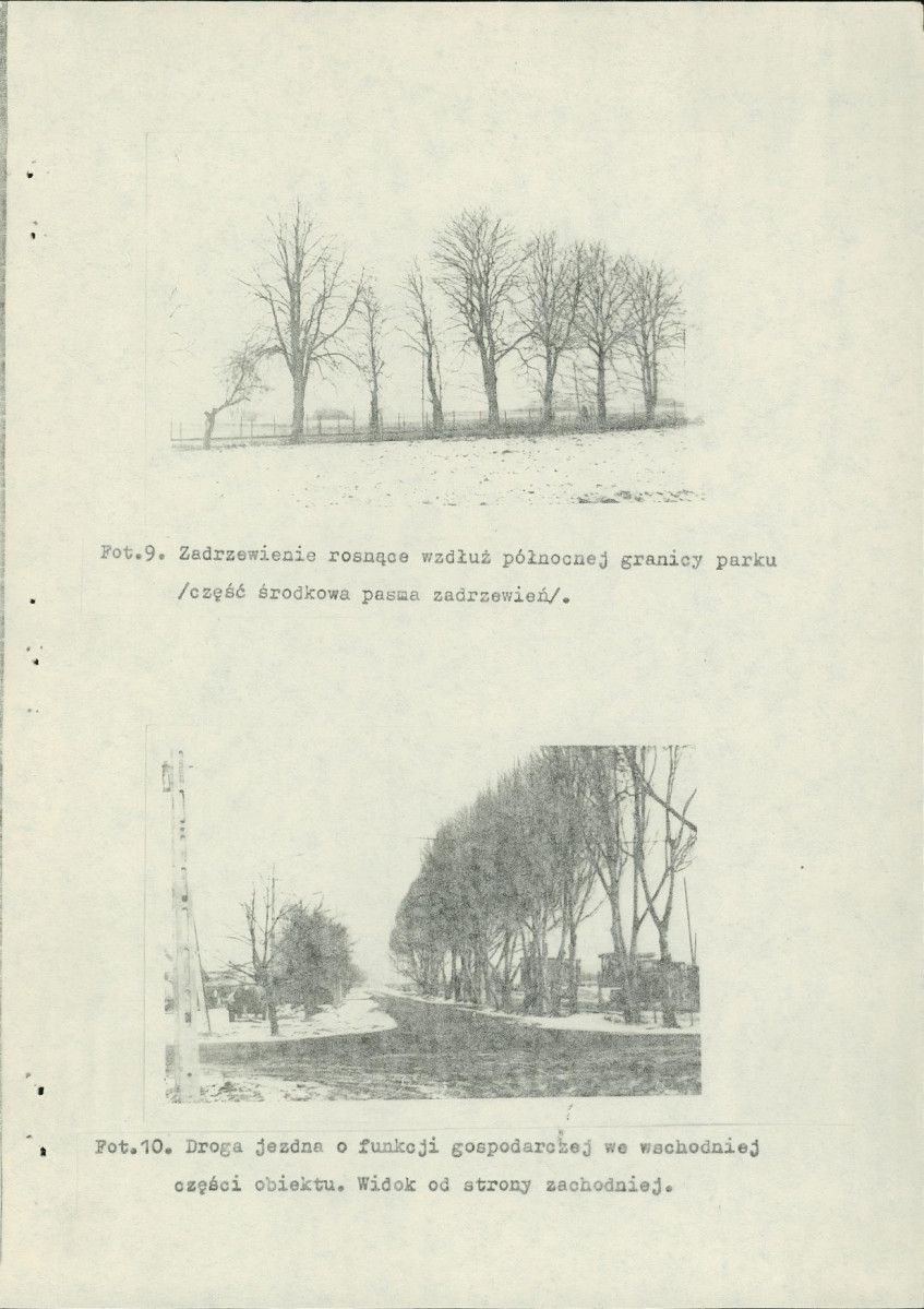 Ewidencja parkowa, skan nr 27