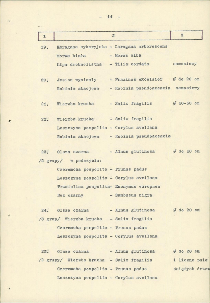 Ewidencja parkowa, skan nr 21