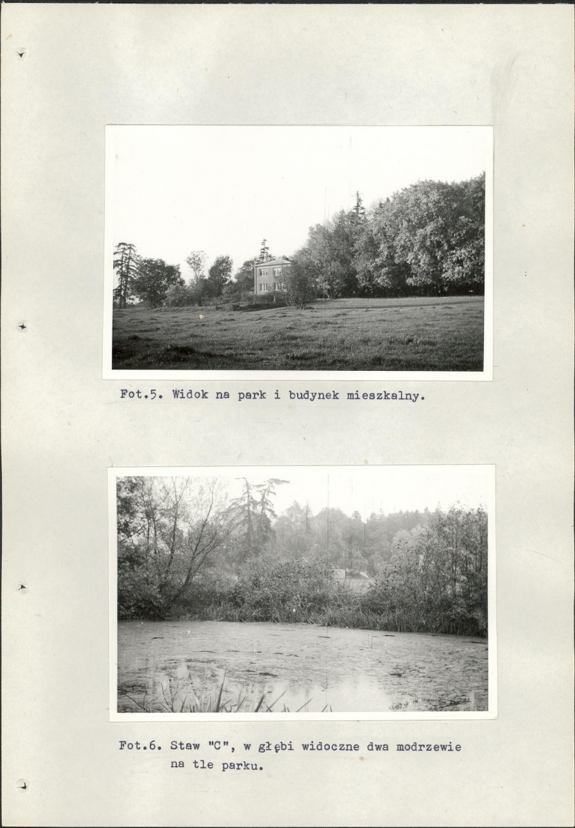 Ewidencja parkowa, skan nr 31