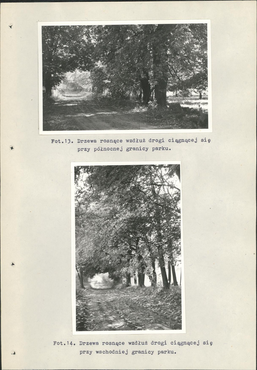 Ewidencja parkowa, skan nr 35