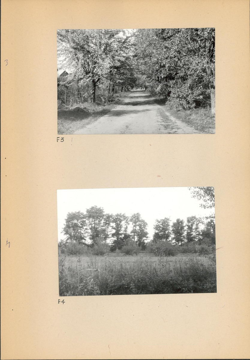 Ewidencja parkowa, skan nr 19